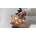 Гирлянда LED Шишки серебряные теплый свет 10 светодиодов 1,1 м. 45014